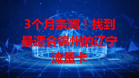 3个月亲测！找到最适合锦州的辽宁流量卡