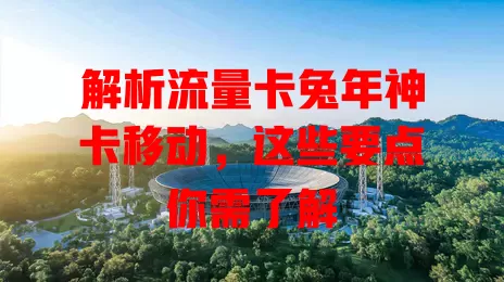 解析流量卡兔年神卡移动，这些要点你需了解