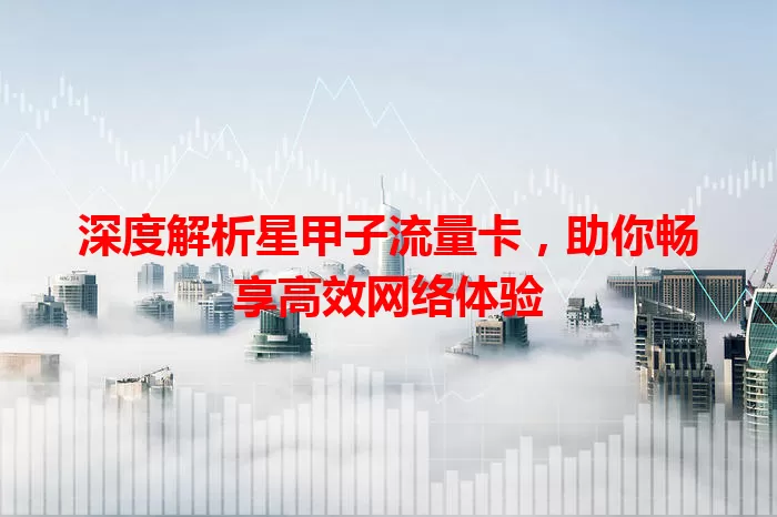 深度解析星甲子流量卡，助你畅享高效网络体验