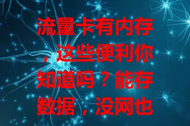 流量卡有内存，这些便利你知道吗？能存数据，没网也能看离线内容。内存规格多样，视频爱好者可选大内存卡。还能提高数据传输效率，让上网更灵活畅快！