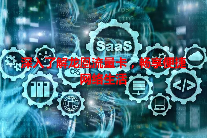 深入了解龙凰流量卡，畅享便捷网络生活