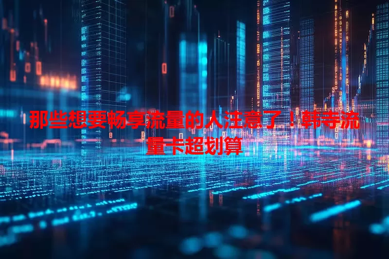 那些想要畅享流量的人注意了！韩寺流量卡超划算