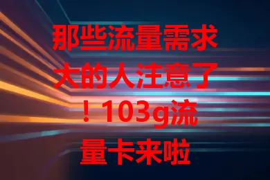 那些流量需求大的人注意了！103g流量卡来啦
