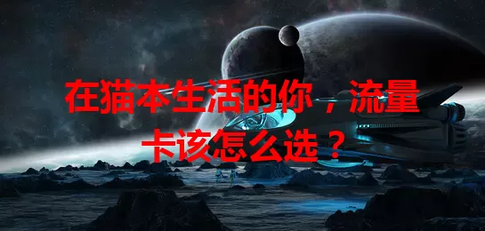 在猫本生活的你，流量卡该怎么选？