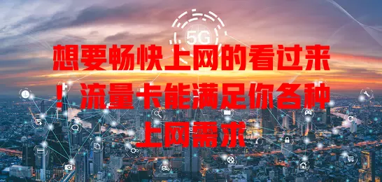 想要畅快上网的看过来！流量卡能满足你各种上网需求