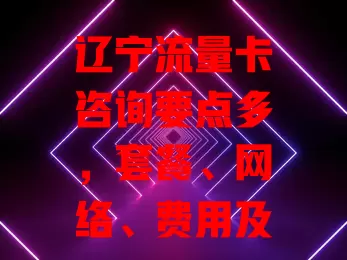 辽宁流量卡咨询要点多，套餐、网络、费用及售后咋选？