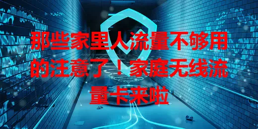 那些家里人流量不够用的注意了！家庭无线流量卡来啦