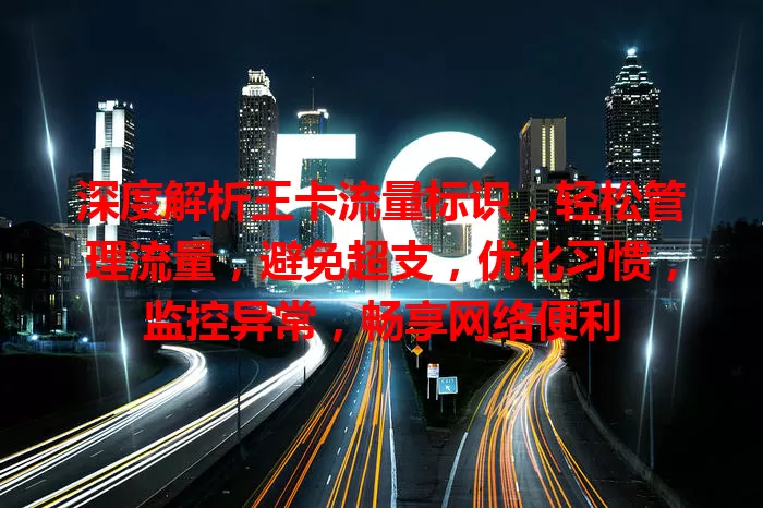 深度解析王卡流量标识，轻松管理流量，避免超支，优化习惯，监控异常，畅享网络便利