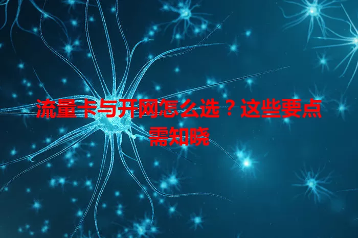 流量卡与开网怎么选？这些要点需知晓