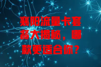 襄阳流量卡套餐大揭秘，哪款更适合你？