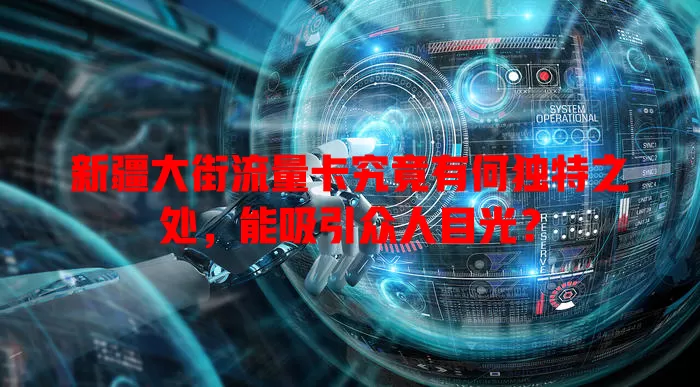 新疆大街流量卡究竟有何独特之处，能吸引众人目光？