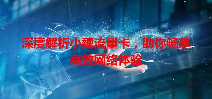 深度解析小魏流量卡，助你畅享高效网络体验