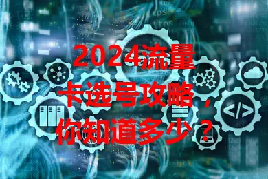 2024流量卡选号攻略，你知道多少？