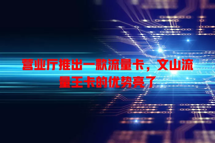 营业厅推出一款流量卡，文山流量王卡的优势亮了