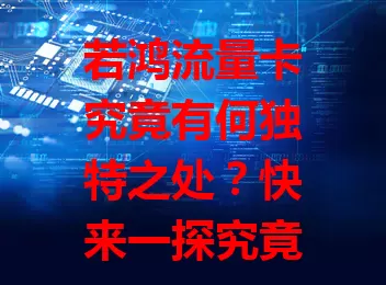 若鸿流量卡究竟有何独特之处？快来一探究竟！