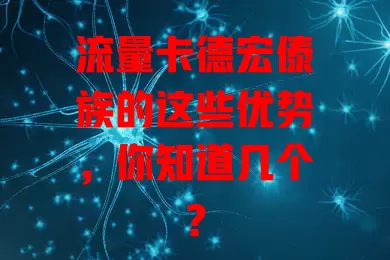 流量卡德宏傣族的这些优势，你知道几个？