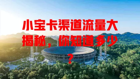 小宝卡渠道流量大揭秘，你知道多少？