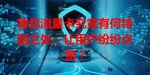 鲁包流量卡究竟有何特别之处，让用户纷纷点赞？