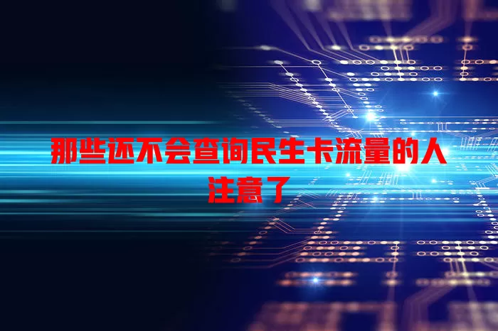 那些还不会查询民生卡流量的人注意了