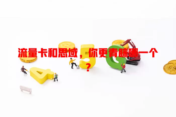 流量卡和思域，你更青睐哪一个？