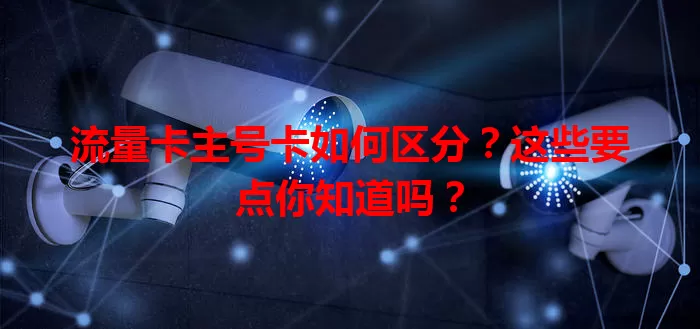 流量卡主号卡如何区分？这些要点你知道吗？