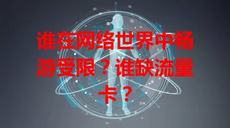 谁在网络世界中畅游受限？谁缺流量卡？
