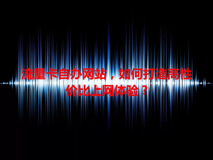 流量卡自办网站，如何打造高性价比上网体验？