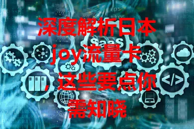 深度解析日本joy流量卡，这些要点你需知晓