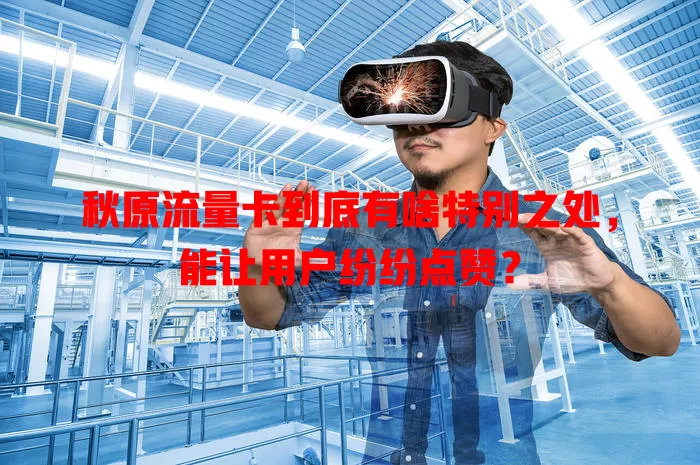 秋原流量卡到底有啥特别之处，能让用户纷纷点赞？