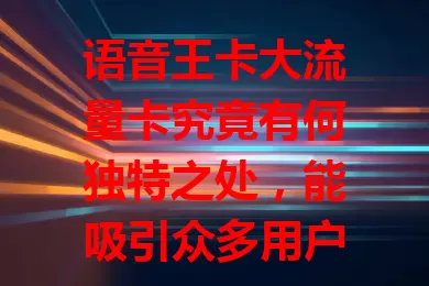 语音王卡大流量卡究竟有何独特之处，能吸引众多用户？