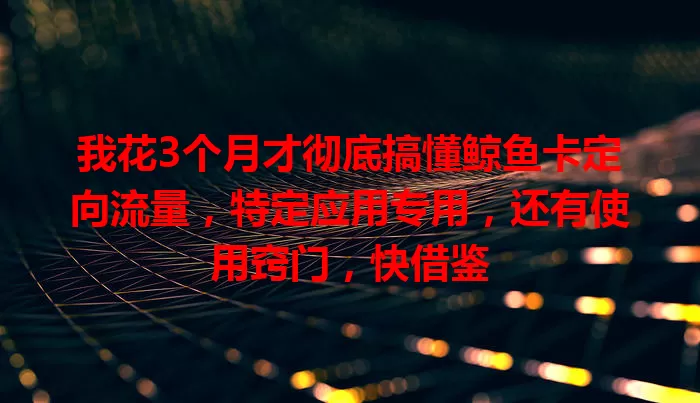 我花3个月才彻底搞懂鲸鱼卡定向流量，特定应用专用，还有使用窍门，快借鉴