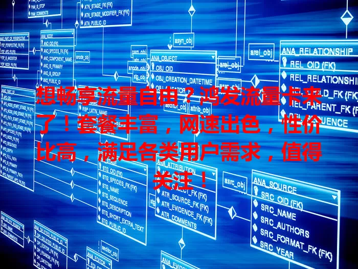 想畅享流量自由？鸿发流量卡来了！套餐丰富，网速出色，性价比高，满足各类用户需求，值得关注！