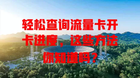 轻松查询流量卡开卡进度，这些方法你知道吗？