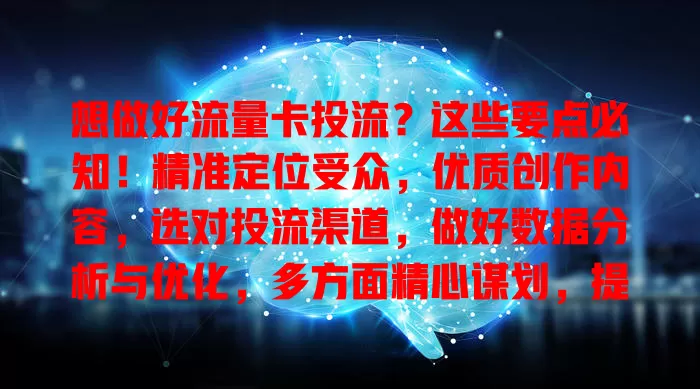 想做好流量卡投流？这些要点必知！精准定位受众，优质创作内容，选对投流渠道，做好数据分析与优化，多方面精心谋划，提升品牌销量