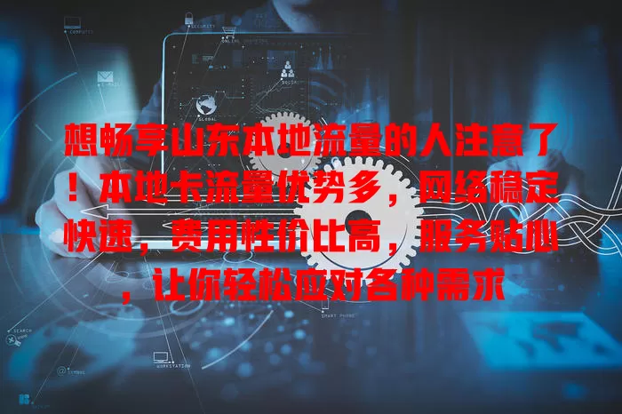 想畅享山东本地流量的人注意了！本地卡流量优势多，网络稳定快速，费用性价比高，服务贴心，让你轻松应对各种需求
