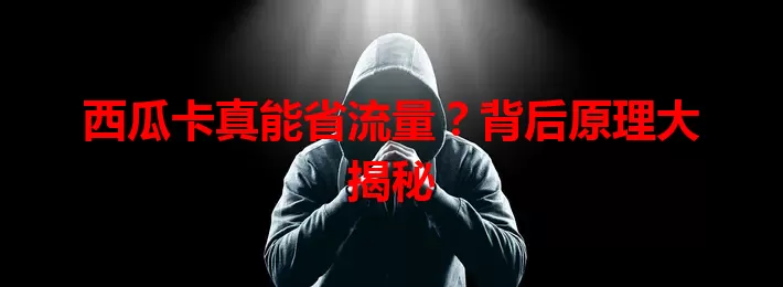 西瓜卡真能省流量？背后原理大揭秘