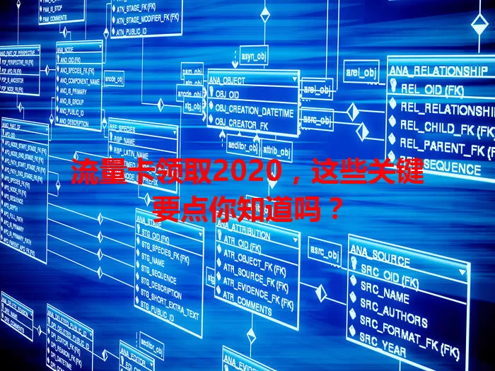流量卡领取2020，这些关键要点你知道吗？