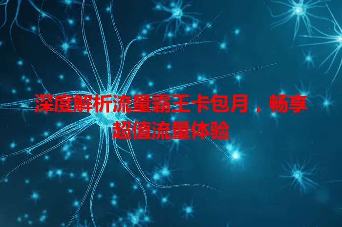 深度解析流量霸王卡包月，畅享超值流量体验