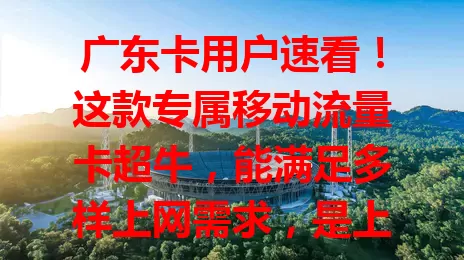 广东卡用户速看！这款专属移动流量卡超牛，能满足多样上网需求，是上网得力助手