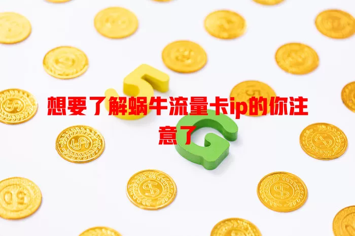 想要了解蜗牛流量卡ip的你注意了