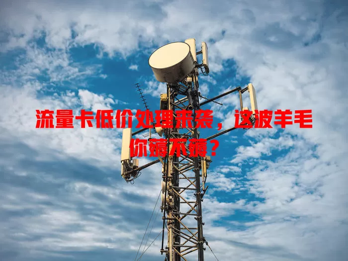 流量卡低价处理来袭，这波羊毛你薅不薅？