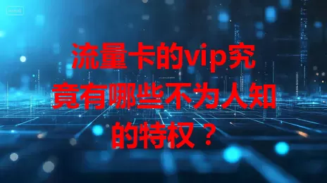 流量卡的vip究竟有哪些不为人知的特权？