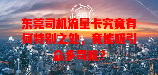 东莞司机流量卡究竟有何特别之处，竟能吸引众多司机？