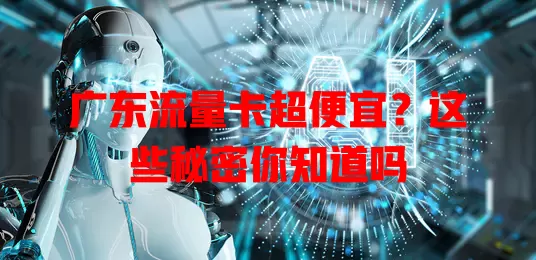 广东流量卡超便宜？这些秘密你知道吗