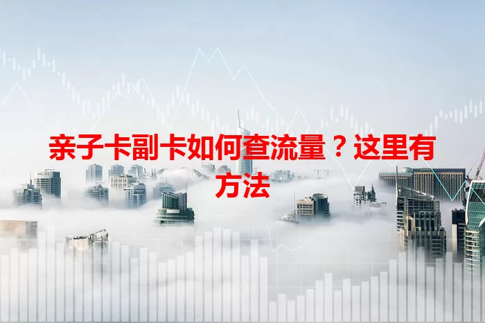 亲子卡副卡如何查流量？这里有方法
