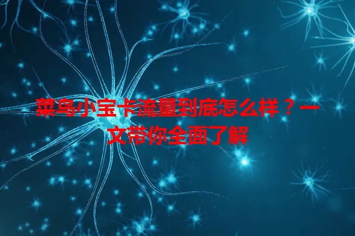 菜鸟小宝卡流量到底怎么样？一文带你全面了解