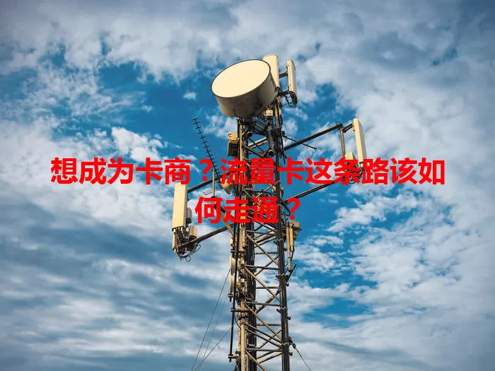 想成为卡商？流量卡这条路该如何走通？