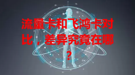 流量卡和飞鸿卡对比，差异究竟在哪？