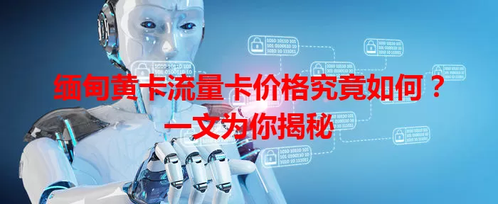 缅甸黄卡流量卡价格究竟如何？一文为你揭秘