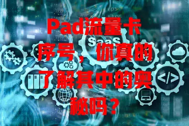 Pad流量卡序号，你真的了解其中的奥秘吗？